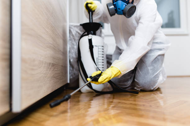 Best Local Pest Control Services  in Shelbyvle, IL