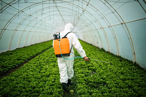 Best Best Pest Control Companies  in Shelbyvle, IL