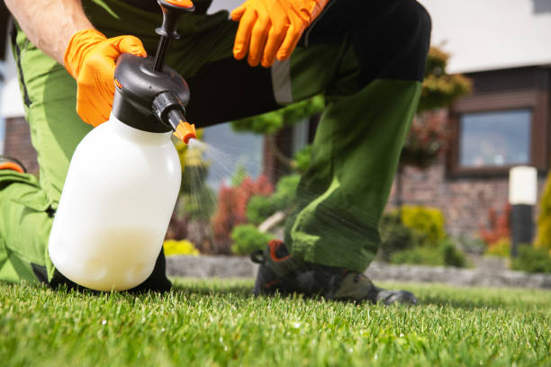 Best Mosquito Control Services  in Shelbyvle, IL