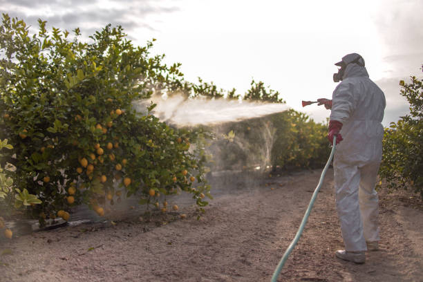 Best Pest Control Treatment  in Shelbyvle, IL