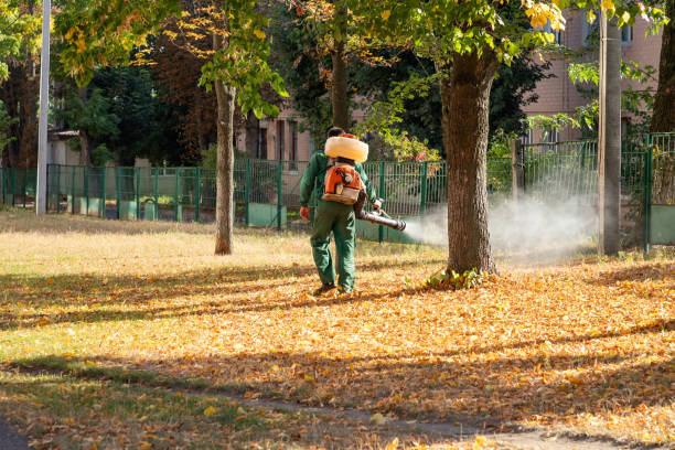 Reliable Shelbyville, IL Pest Control Solutions